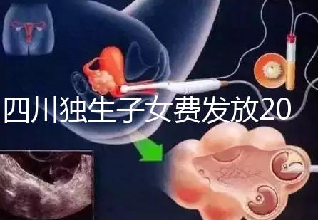 四川獨生子女費發放2024年新規定，如何盡快領取自貢？