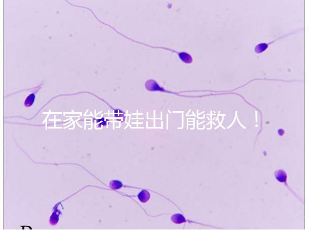 在家能帶娃出門能救人!張云鵬醫(yī)生為救人將孩子塞路人