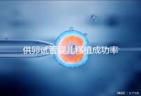 供卵試管嬰兒移植成功率高，一次就能成？很多人都被坑過