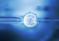 供卵試管嬰兒選擇好醫(yī)院是關(guān)鍵,泰國(guó)好的生殖中心有這些