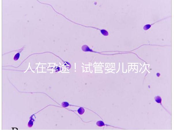 人在孕途!試管嬰兒兩次胎停育,了解這幾招能降低流產(chǎn)風險