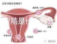 人工授精是什么?3分鐘讀完這篇文章，解答你所有疑問