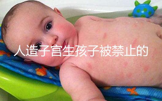 人造子宮生孩子被禁止的原因有三，會不會被允許未成定論