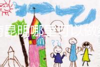 云南昆明哪里可以做第三代試管?截至2024年,只有一個