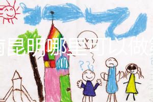 云南昆明哪里可以做第三代試管？截至2024年，只有一個(gè)