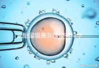 二胎留級是女孩沒有科學依據，出生早晚和性別無關