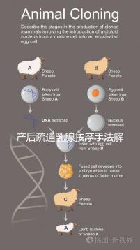 產(chǎn)后疏通乳腺按摩手法解密,不用吸奶器輕松搞定堵奶、奶結(jié)