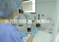 從促排到移植！夢(mèng)美hrc試管嬰兒流程共7步