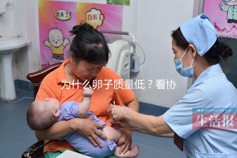 為什么卵子質(zhì)量低?看協(xié)和試管中心何方方主任怎么說(shuō)