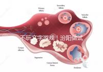 不玩文字游戲!汾陽做試管嬰兒成功率和費用一覽