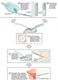 不知道37歲試管促排卵成功率不要慌，正常看醫生怎么說