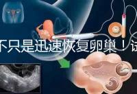 不只是迅速恢復卵巢！試管取卵后吃蘿卜的3大好處匯總