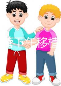 不懂試管下午移植上午要不要請假速覽，何時開始一看便知