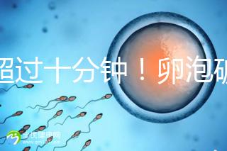 不超過(guò)十分鐘!卵泡破裂到輸卵管的時(shí)間,備孕必收藏