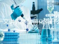 一文講完輔助孵化有什么弊端及優勢，有沒有用看專家咋說