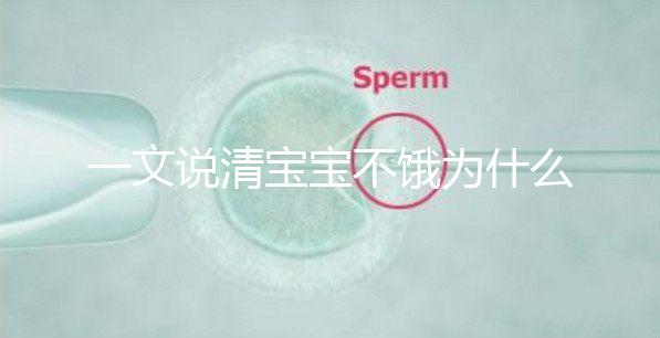 一文說清寶寶不餓為什么瘋狂找奶，找準原因才好解決