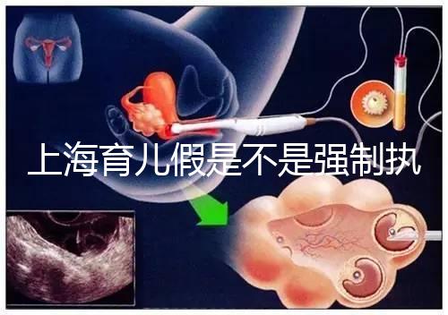 上海育兒假是不是強制執(zhí)行已明確，2024虹口區(qū)何時執(zhí)行戳