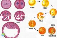 推薦2024年5月結婚的良辰吉日，最吉利的要數…