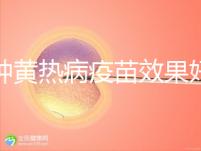 接種黃熱病疫苗效果好，單劑十年有效甚至終身可免疫