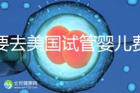 想要去美國試管嬰兒費用要花多少錢？2025年費用明細！