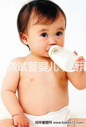 想要做試管嬰兒，費用預算大概是多少？