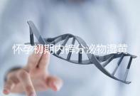 懷孕初期內(nèi)褲分泌物濕黃是男孩！5大原因?yàn)槟憬议_(kāi)背后真相