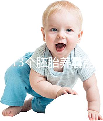 揭秘13個胚胎養囊能養成幾個，別以為6個著床幾率就高