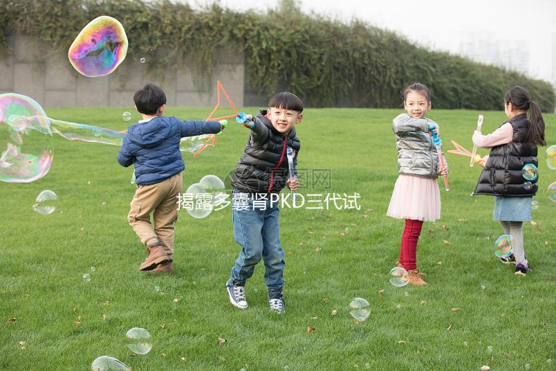 揭露多囊腎PKD三代試管取17個卵異常怎么辦？