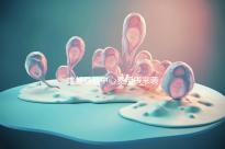 成都早教中心費(fèi)用表來(lái)襲,2024年哪個(gè)便宜?