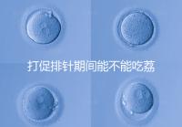 打促排針期間能不能吃荔枝看月份，想促進卵泡發育別亂食用