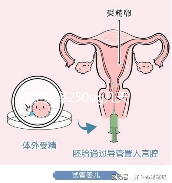 打了艾澤250ug幾天能代謝完戳，第十天別還不敢走下一步