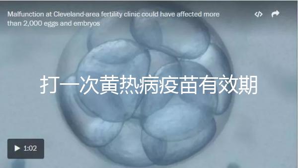 打一次黃熱病疫苗有效期限10年，提前注射時間是關鍵
