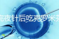 打完夜針后吃克羅米芬不要緊，做好補(bǔ)救工作影響真不大
