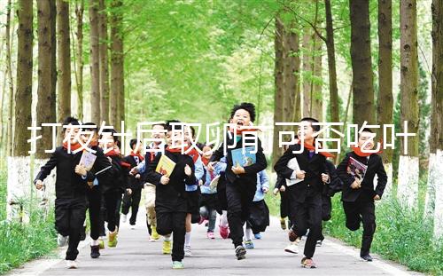 打夜針后取卵前可否吃葉酸看這,能提高卵子質量可別不信