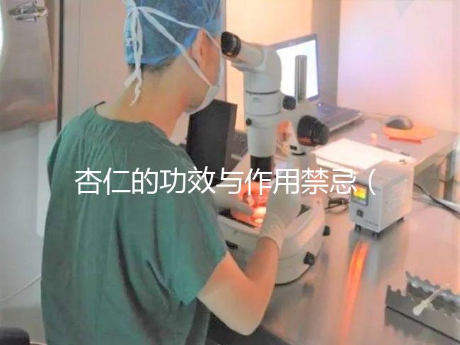 杏仁的功效與作用禁忌(杏仁的功效與作用禁忌一天能吃多少)