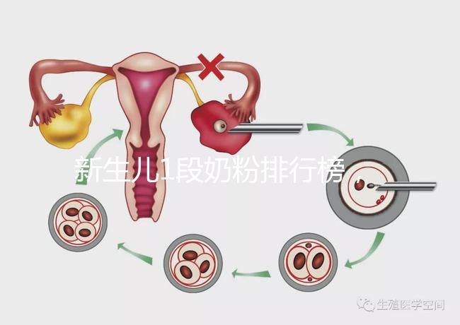 新生兒1段奶粉排行榜，口碑好、價格實惠的品牌紛紛上榜