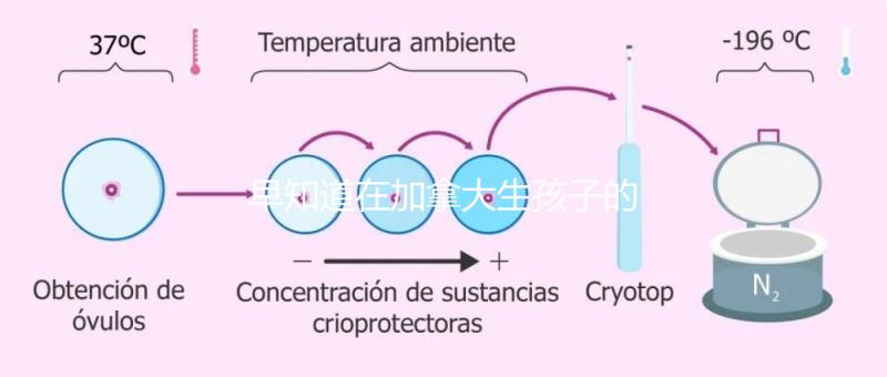 早知道在加拿大生孩子的國(guó)籍是什么!最后期限附回國(guó)定居