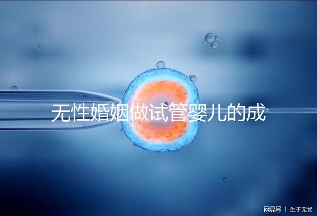 無性婚姻做試管嬰兒的成功率2024，一文說清有沒有用