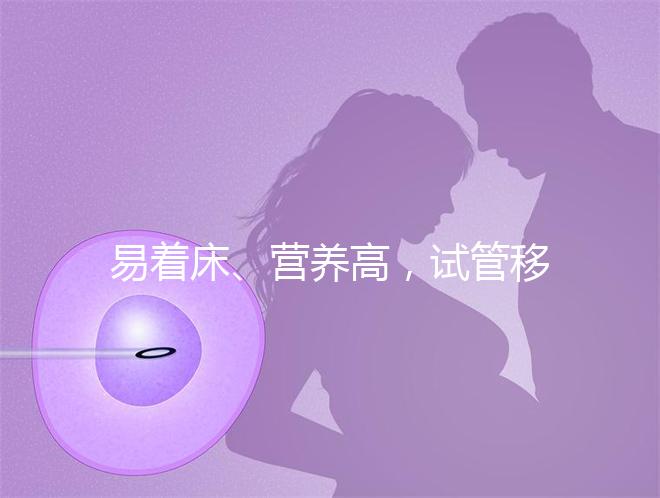 易著床、營養高，試管移植后吃獼猴桃的好處你不知道！