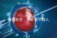 春夏秋冬,哪個季節(jié)做人工授精成功率最高?