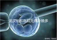 武漢協和醫院無痛分娩多少錢答案在這，住院一天費用不高