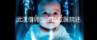 武漢借卵生子私立醫(yī)院還得看這幾家，協(xié)和、同濟(jì)醫(yī)院上榜