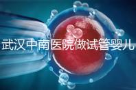 武漢中南醫院做試管嬰兒需要多少錢:2025年這些試管收費有變動