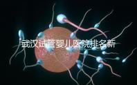 武漢試管嬰兒醫(yī)院排名新出爐，來(lái)看看2024哪些私立機(jī)構(gòu)上榜
