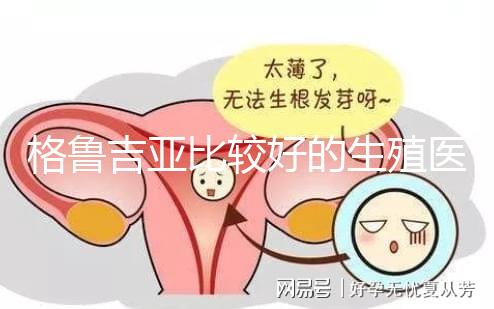 格魯吉亞比較好的生殖醫(yī)院是哪家,助孕成功率高還看這4家