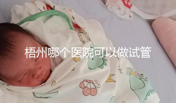 梧州哪個醫院可以做試管嬰兒?“過來人”分享試管費用明細
