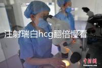 注射瑞白hcg翻倍慢看這，從原因著手告訴你解決辦法