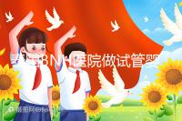 泰國(guó)BNH醫(yī)院做試管嬰兒到底怎么樣?包成功是真是假?