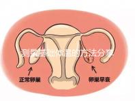 測量基礎(chǔ)體溫的方法分享 教你把握“造人”最佳時(shí)機(jī)