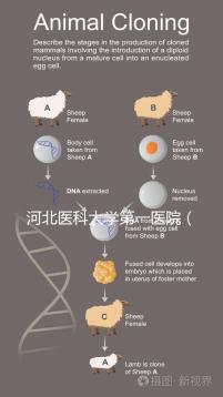 河北醫(yī)科大學(xué)第一醫(yī)院(河北醫(yī)科大學(xué)第一醫(yī)院擅長(zhǎng)什么)